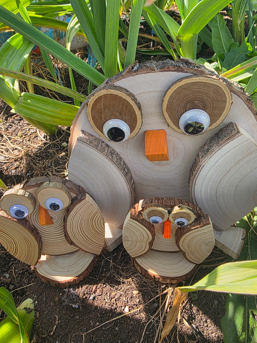 Wooden Owls Set