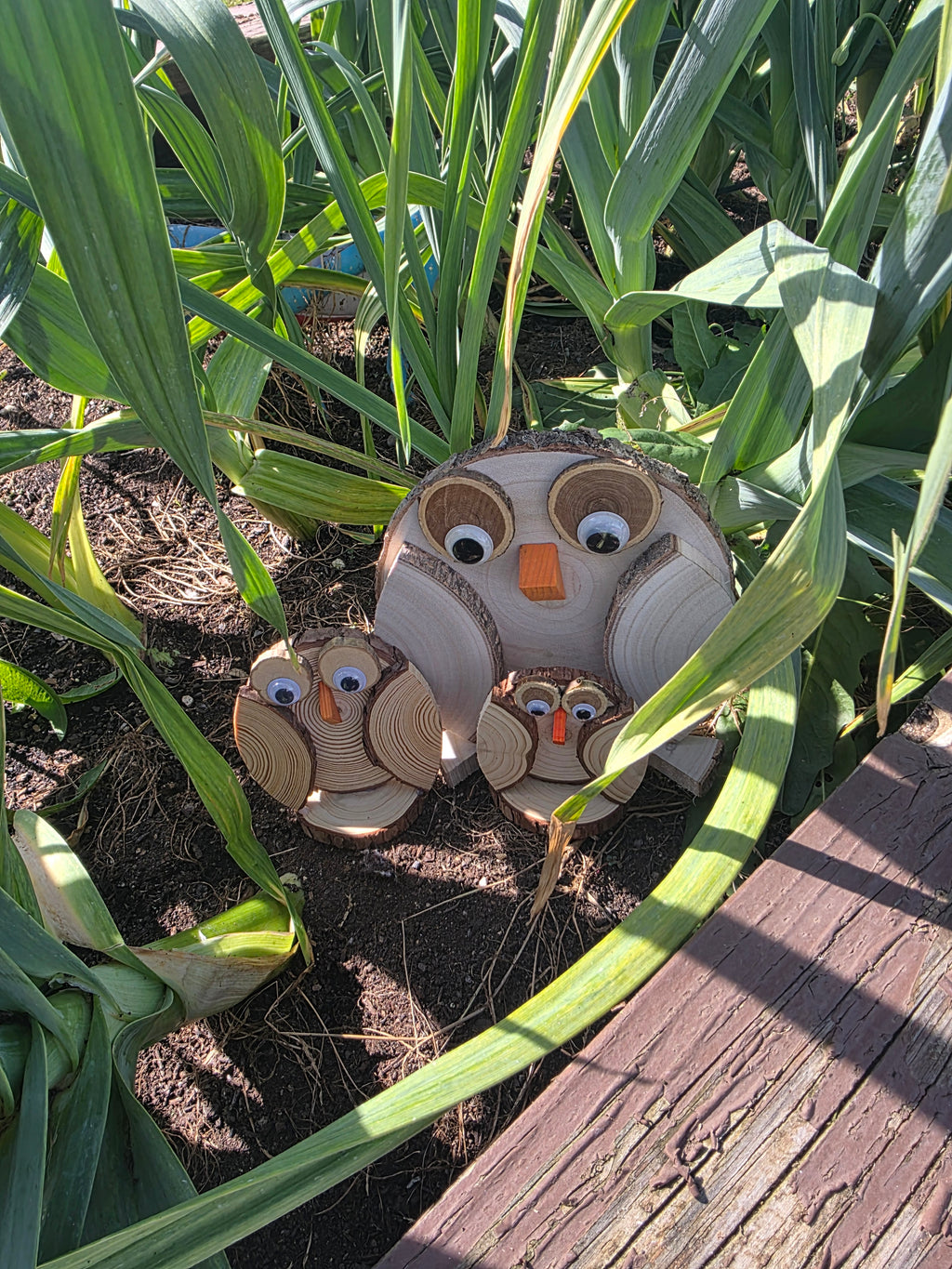 Wooden Owls Set