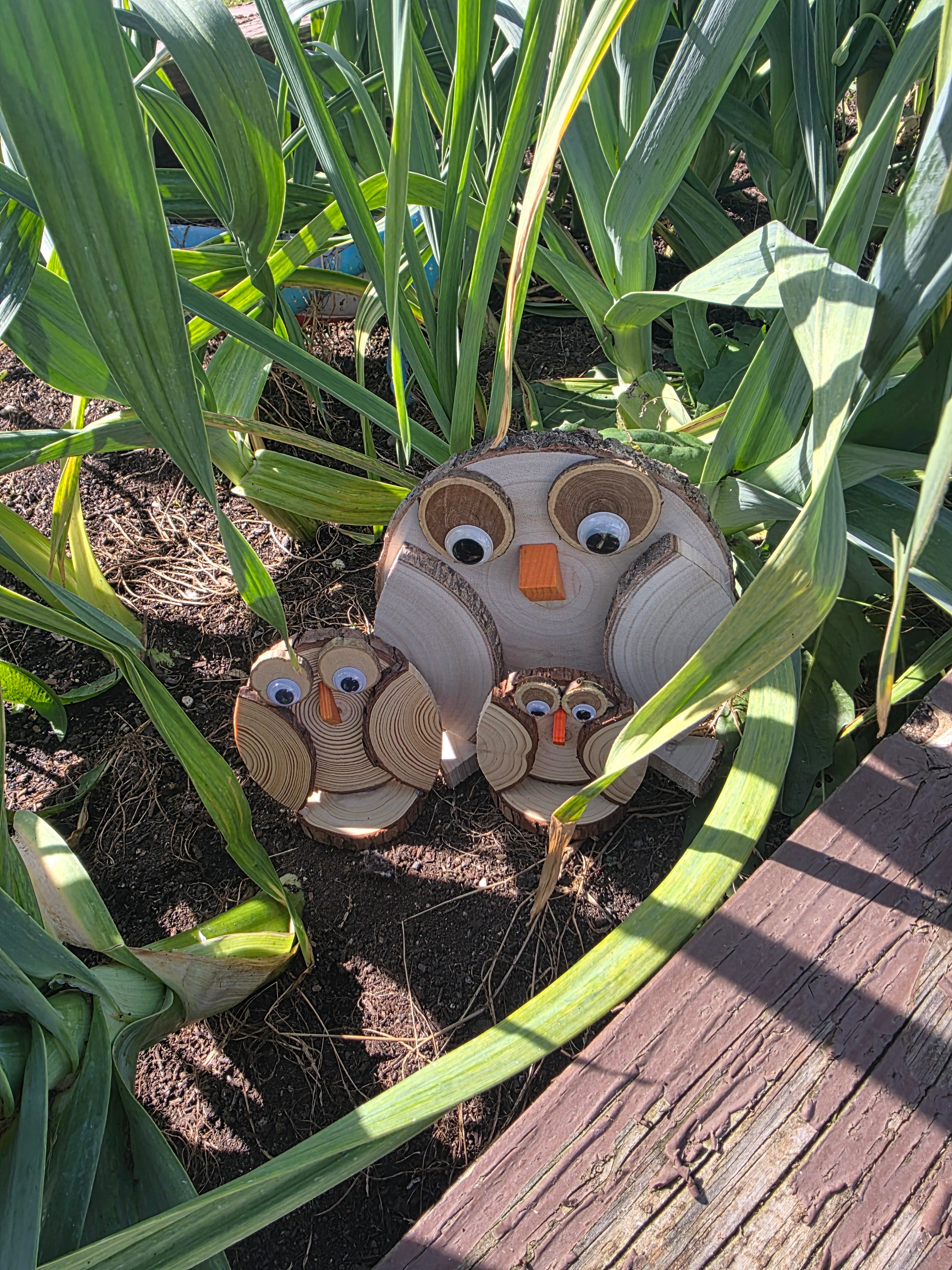 Wooden Owls Set