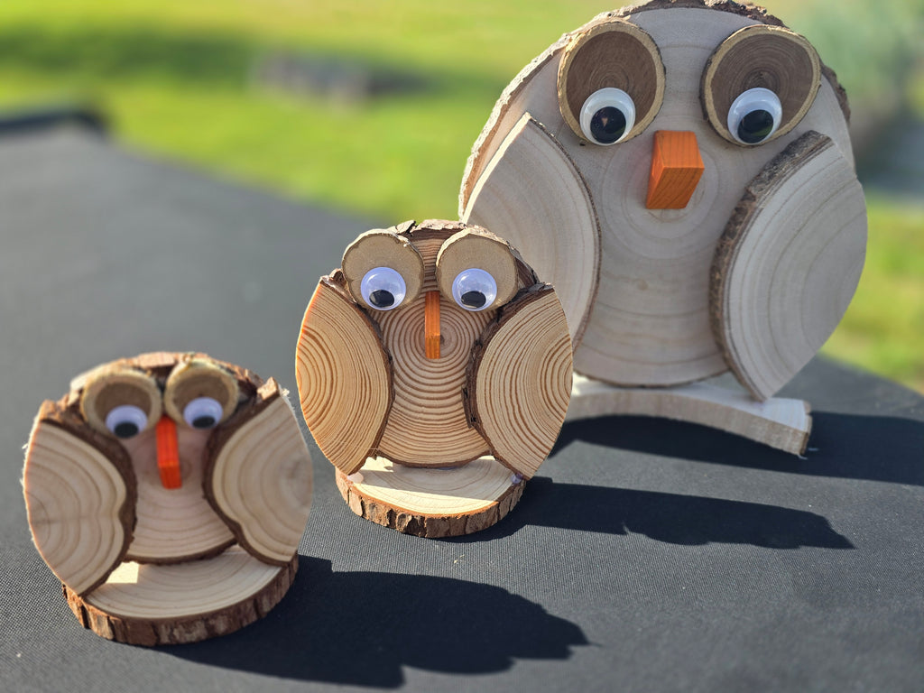 Wooden Owls Set