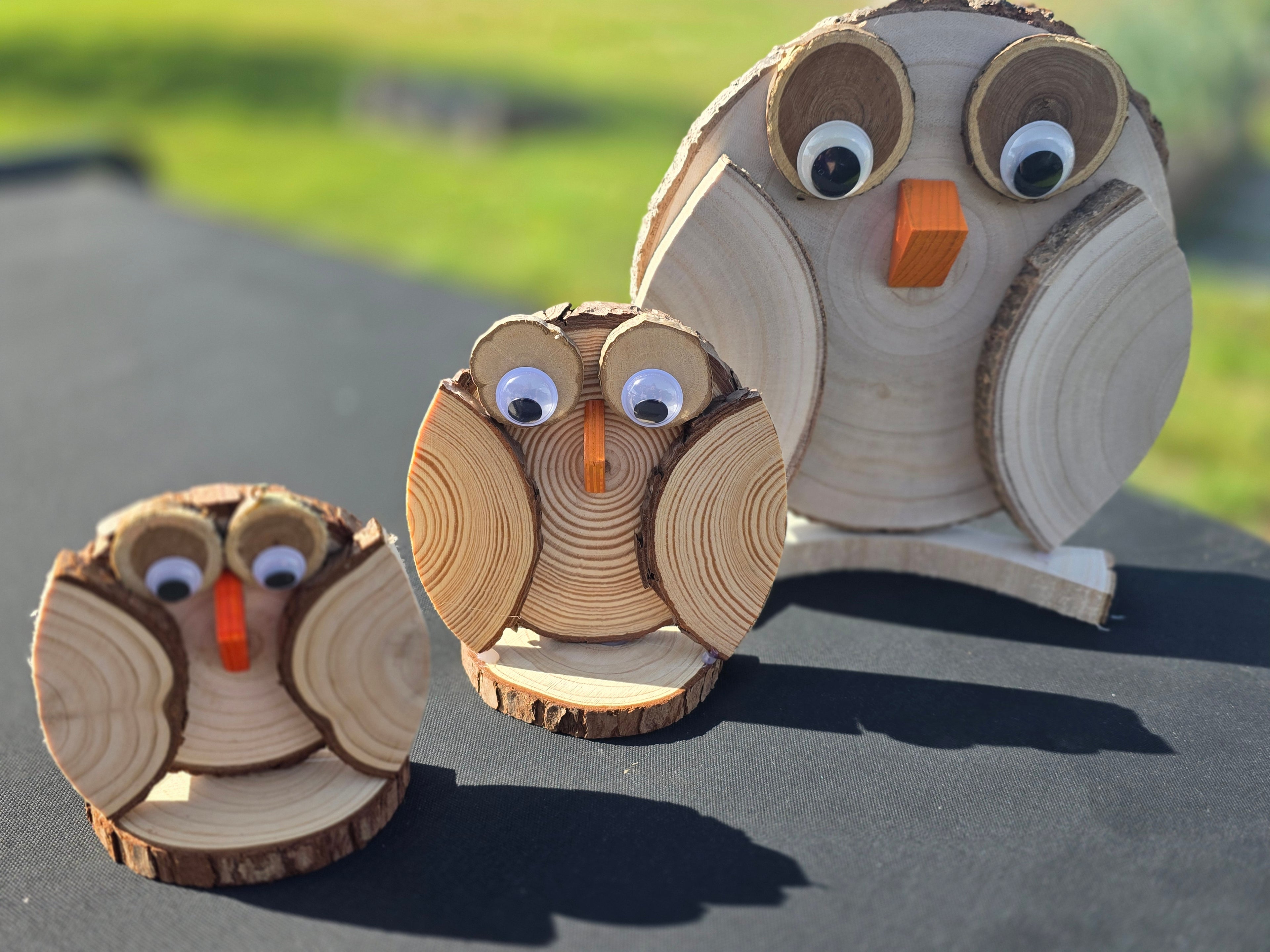 Wooden Owls Set